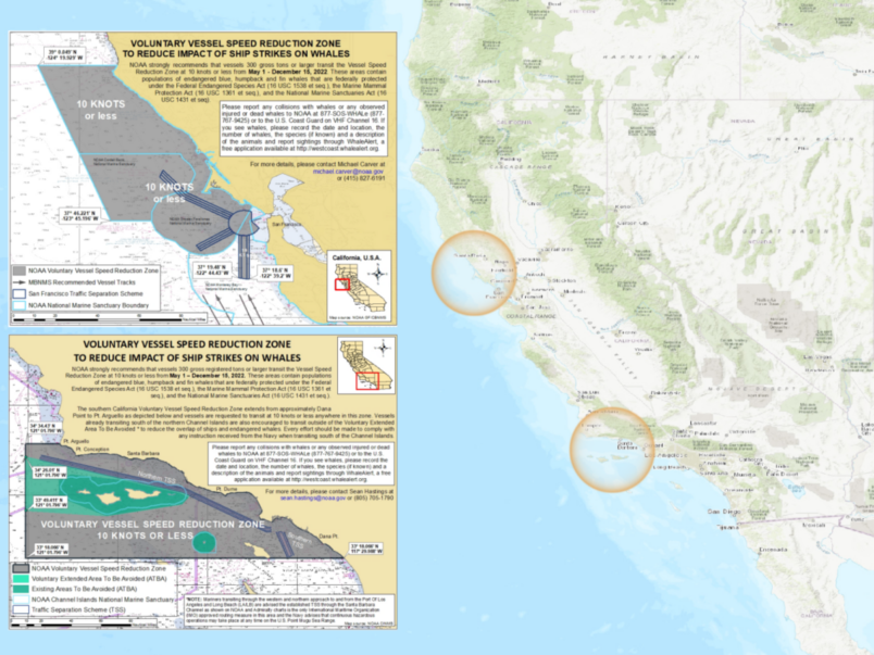 2022 Year In Review: A Look Back At Whales & Ships In The Santa Barbara ...